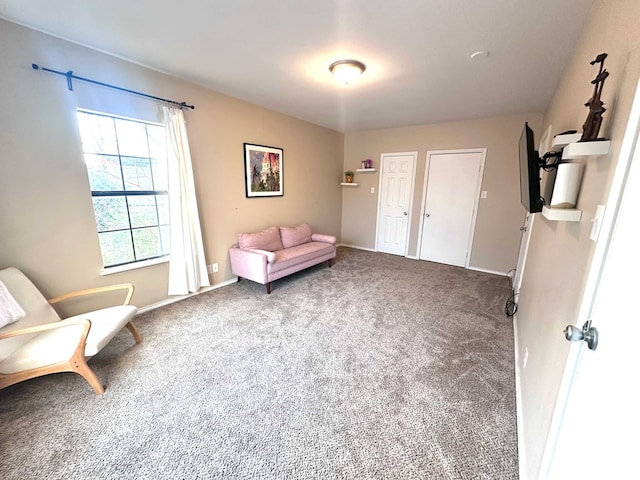 sitting room with carpet