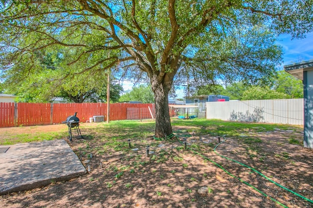 119 Van Zandt St, San Angelo, TX 76905 - view of yard