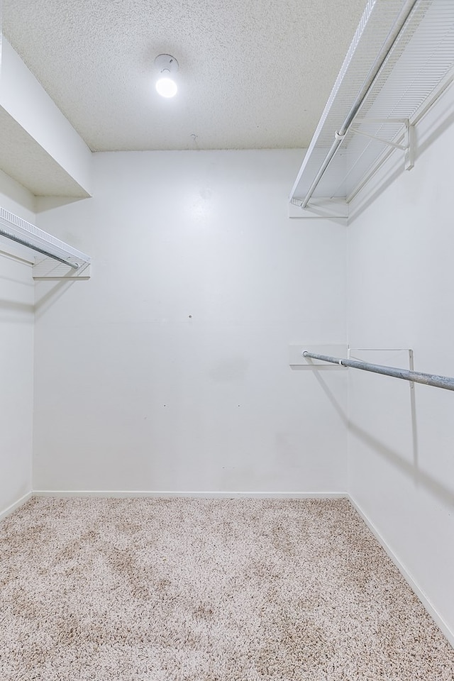 walk in closet with carpet floors