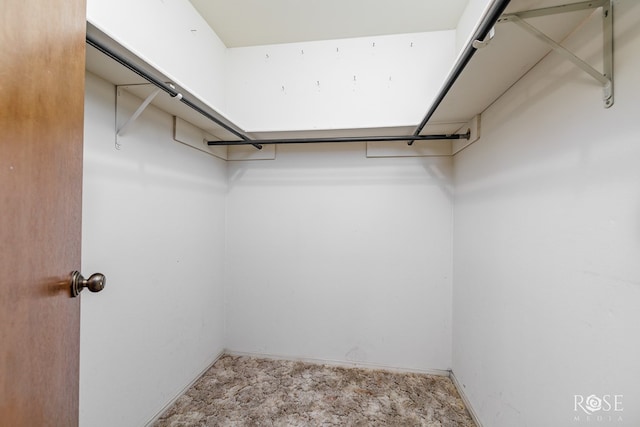 view of spacious closet