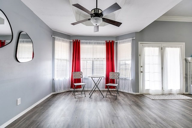 unfurnished room with a healthy amount of sunlight, hardwood / wood-style floors, and ceiling fan