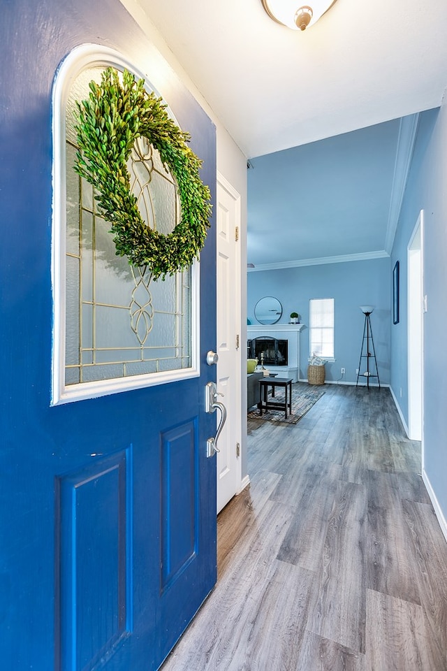 entryway with wood-type flooring and crown molding