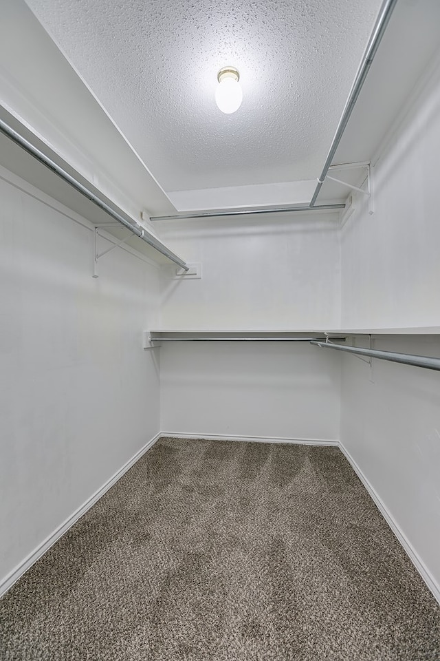 spacious closet with carpet