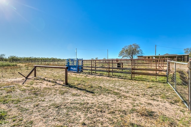 view of yard featuring a rural view