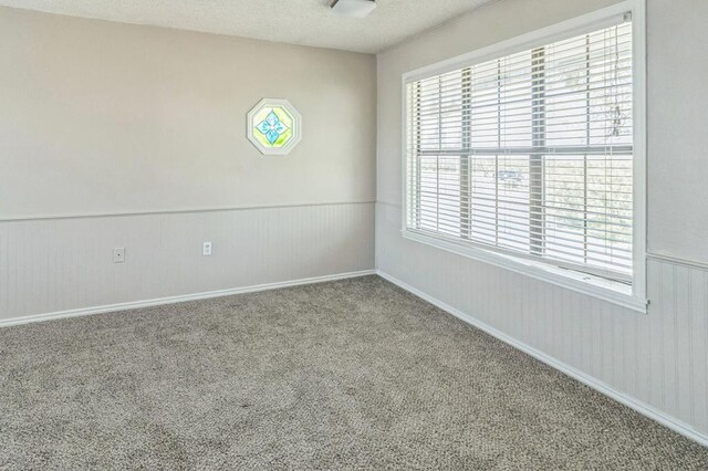 carpeted empty room featuring plenty of natural light and a textured ceiling