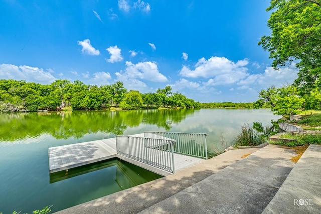 dock area with a water view