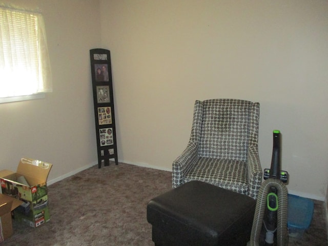 1709 Dove Creek Dr, San Angelo, TX 76901 - photo 6