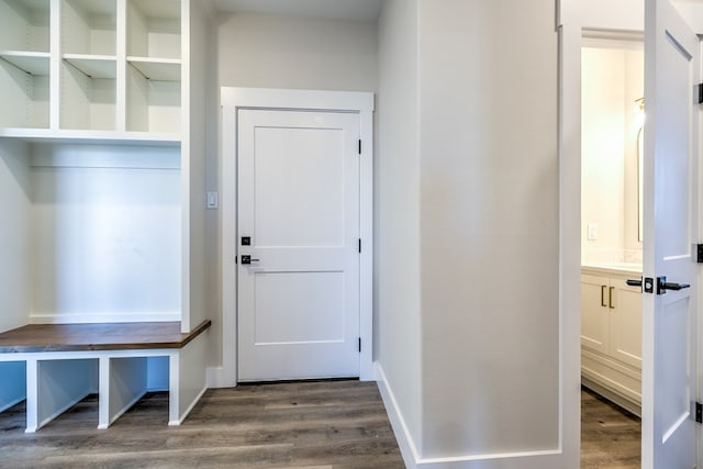 mudroom with dark wood-type flooring