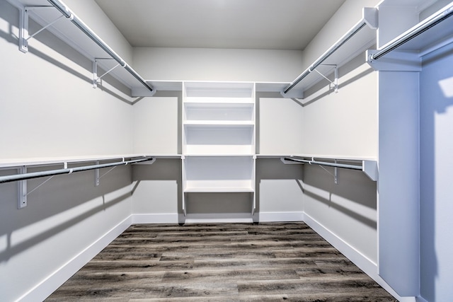 walk in closet featuring dark hardwood / wood-style floors