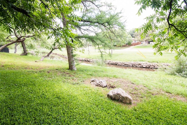 27 Yucca St, San Angelo, TX 76901 - view of yard