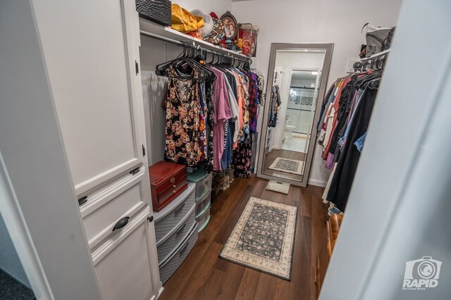 3709 Tridens Trl, San Angelo, TX 76904 - walk in closet featuring dark wood finished floors