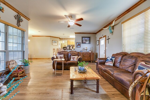 living room with crown molding, ceiling fan, and light hardwood / wood-style flooring