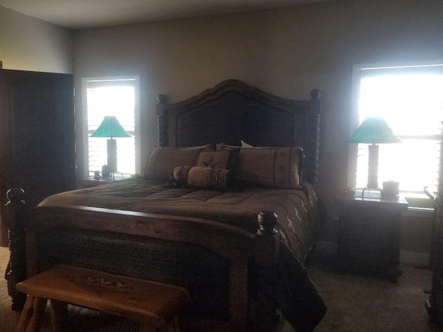 bedroom with multiple windows and carpet