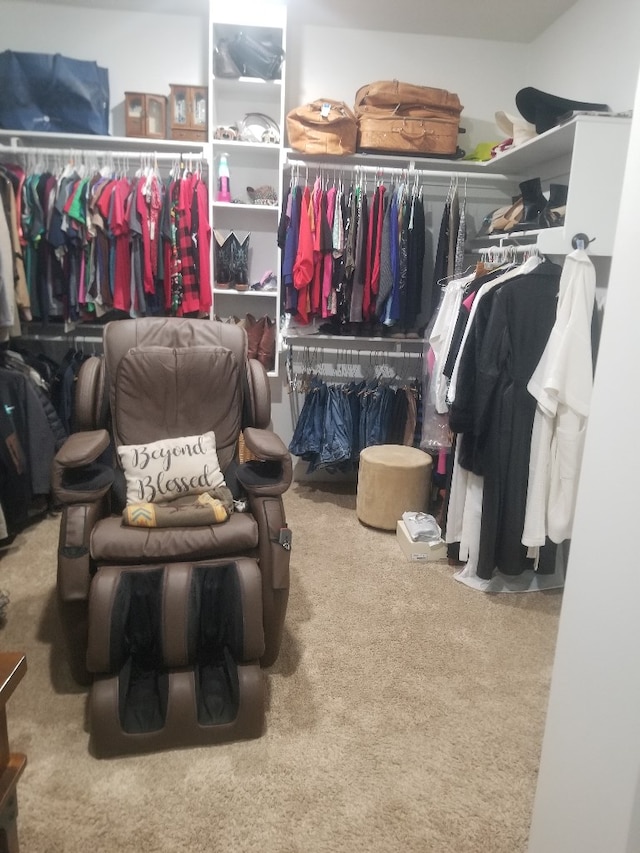 spacious closet featuring carpet flooring