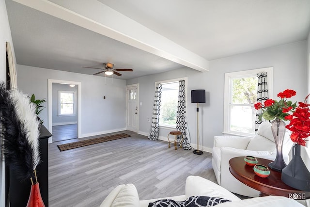 living room with beam ceiling, ceiling fan, and light wood-type flooring