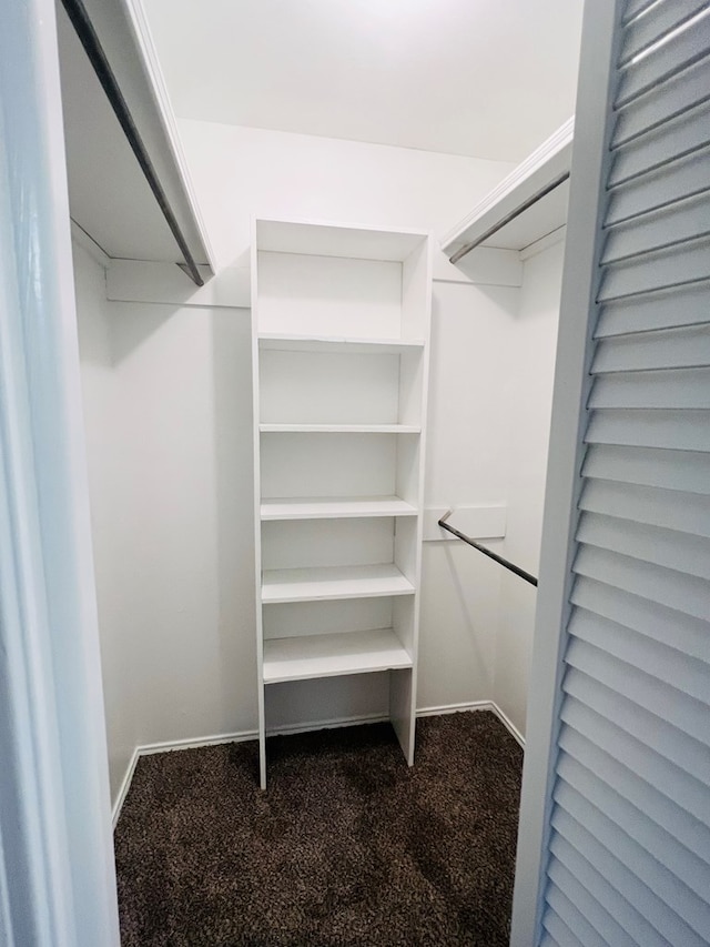 walk in closet featuring carpet