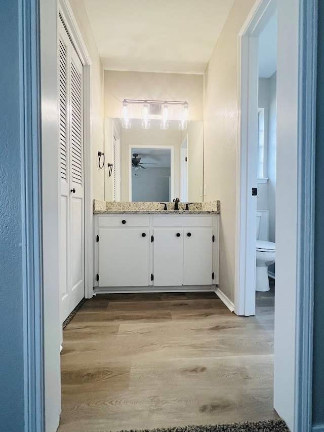 bathroom featuring vanity, hardwood / wood-style flooring, and toilet