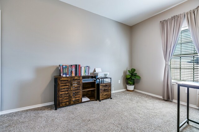 home office with carpet flooring