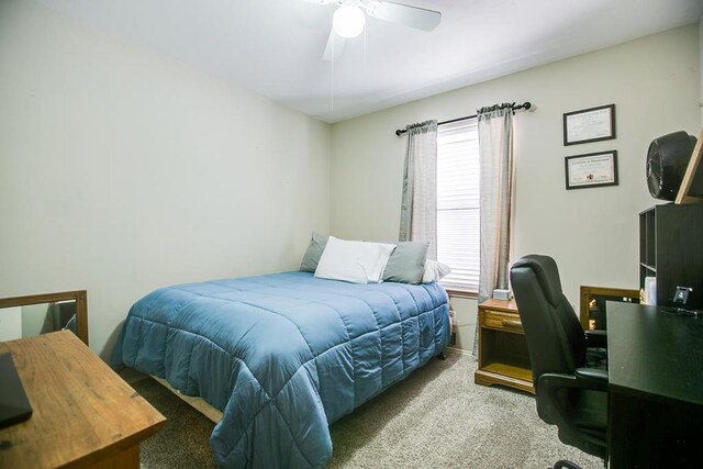 2517 Mcgill Blvd, San Angelo, TX 76905 - photo 23