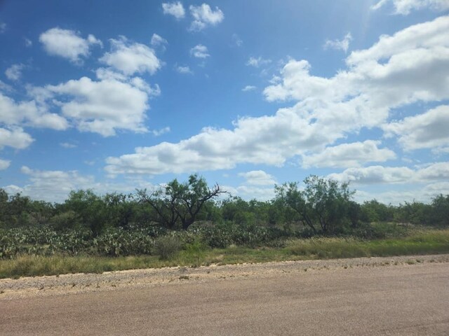 TBD Harbor View Lane 68 & 69, Millersview, TX 76862 - photo 4