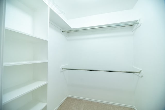 spacious closet featuring light carpet