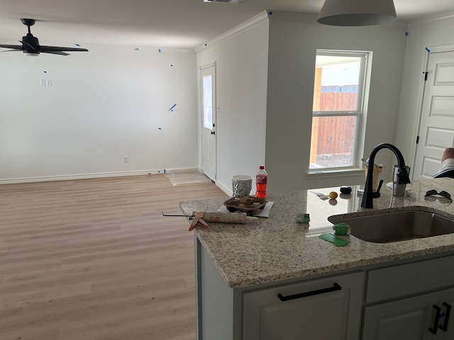 kitchen featuring ornamental molding, sink, light stone counters, and light hardwood / wood-style flooring