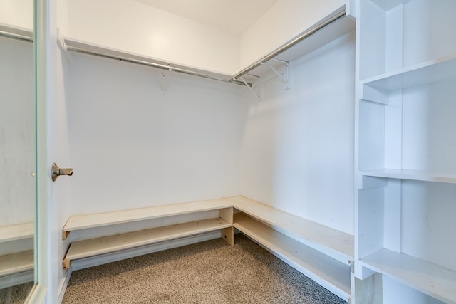 walk in closet with carpet flooring