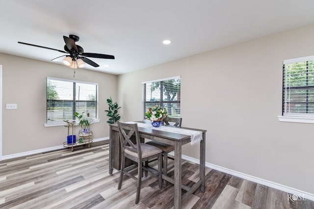 dining space featuring ceiling fan, a healthy amount of sunlight, and light wood-type flooring