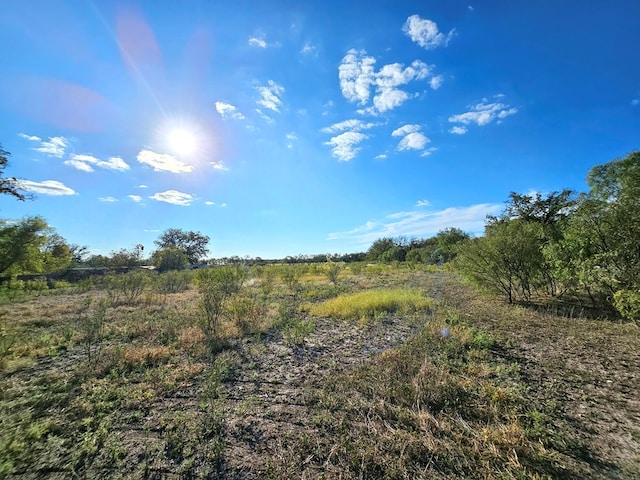 view of local wilderness featuring a rural view