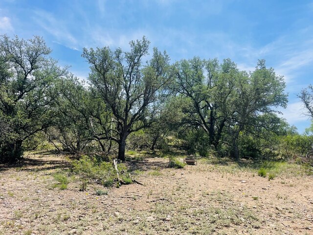 10357 Jerimiah Ln, San Angelo, TX 76901
