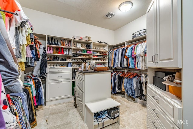 view of walk in closet