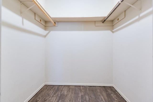 3101 Grove Dr, San Angelo, TX 76903 - walk in closet featuring wood finished floors