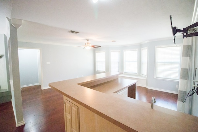 kitchen with crown molding, dark wood-type flooring, ceiling fan, and light brown cabinetry