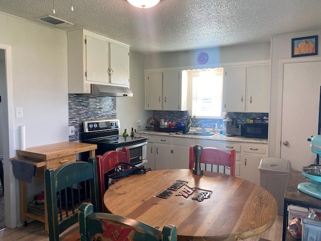 kitchen featuring white cabinets, tasteful backsplash, sink, and electric range