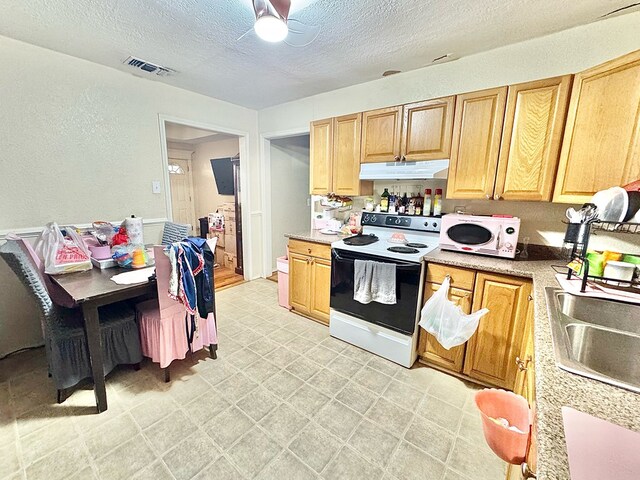 kitchen with sink, a textured ceiling, and electric stove