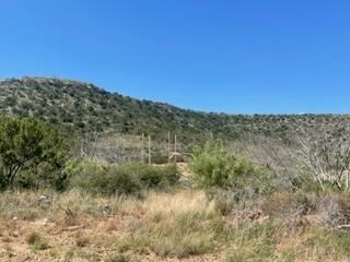 454 Hillside Rd, Robert Lee, TX 76945