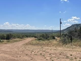 454 Hillside Rd, Robert Lee, TX 76945