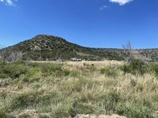 454 Hillside Rd, Robert Lee, TX 76945