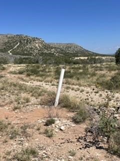 454 Hillside Rd, Robert Lee, TX 76945