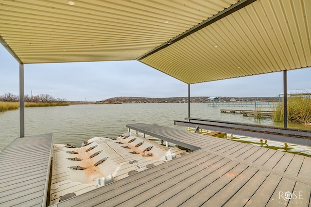 dock area with a water view