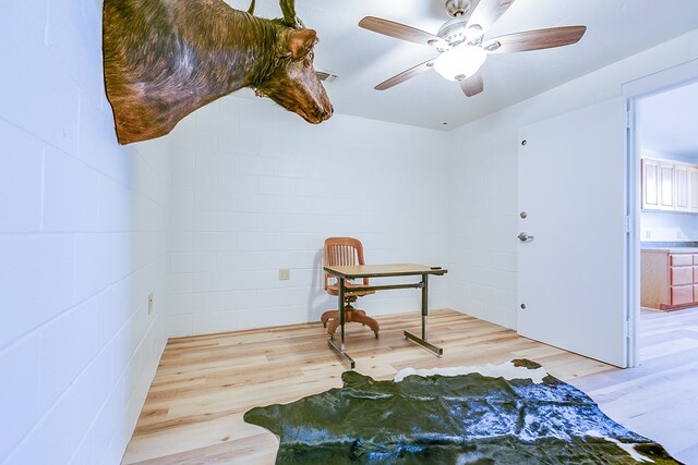 491 County Rd 351, Winters, TX 79567 - photo 26