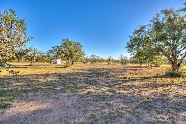 view of yard with a rural view