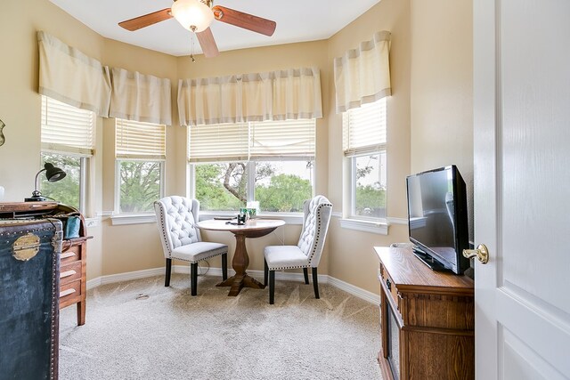 1218 Ashford Dr, San Angelo, TX 76901 - photo 24