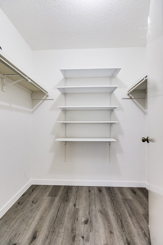 walk in closet featuring dark wood-type flooring