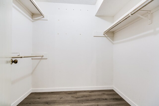 spacious closet featuring wood-type flooring