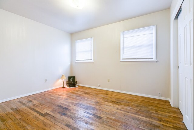 spare room featuring wood-type flooring