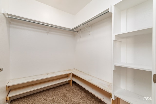 4506 Oak Grove Blvd, San Angelo, TX 76904 - walk in closet featuring carpet flooring