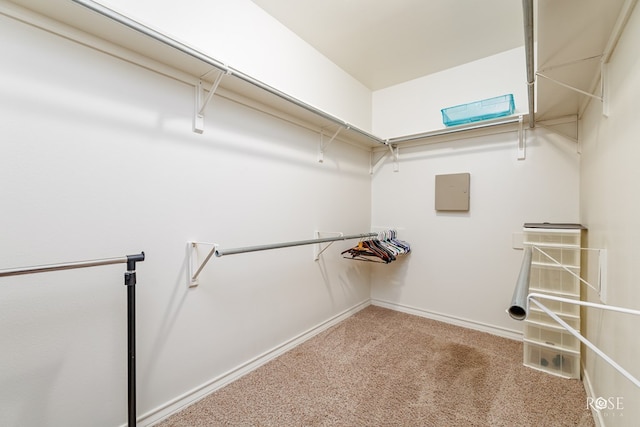 4641 Southland Blvd, San Angelo, TX 76904 - walk in closet featuring carpet floors