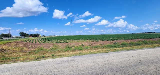 Listing photo 3 for NA Loop 570 Abst: A-1964, Wall TX 76957