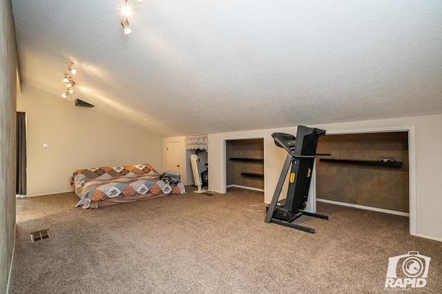 workout area with lofted ceiling, carpet flooring, track lighting, and a textured ceiling